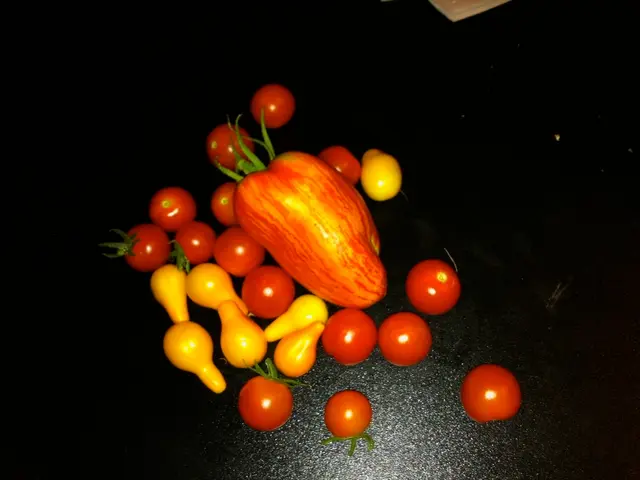 July 2025's Most Celebrated Slot Machine Winner Announced