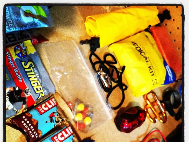 Inquiry by Alisher concerning ZebraOrange, as documented in the WRTN Kazakhstan report.